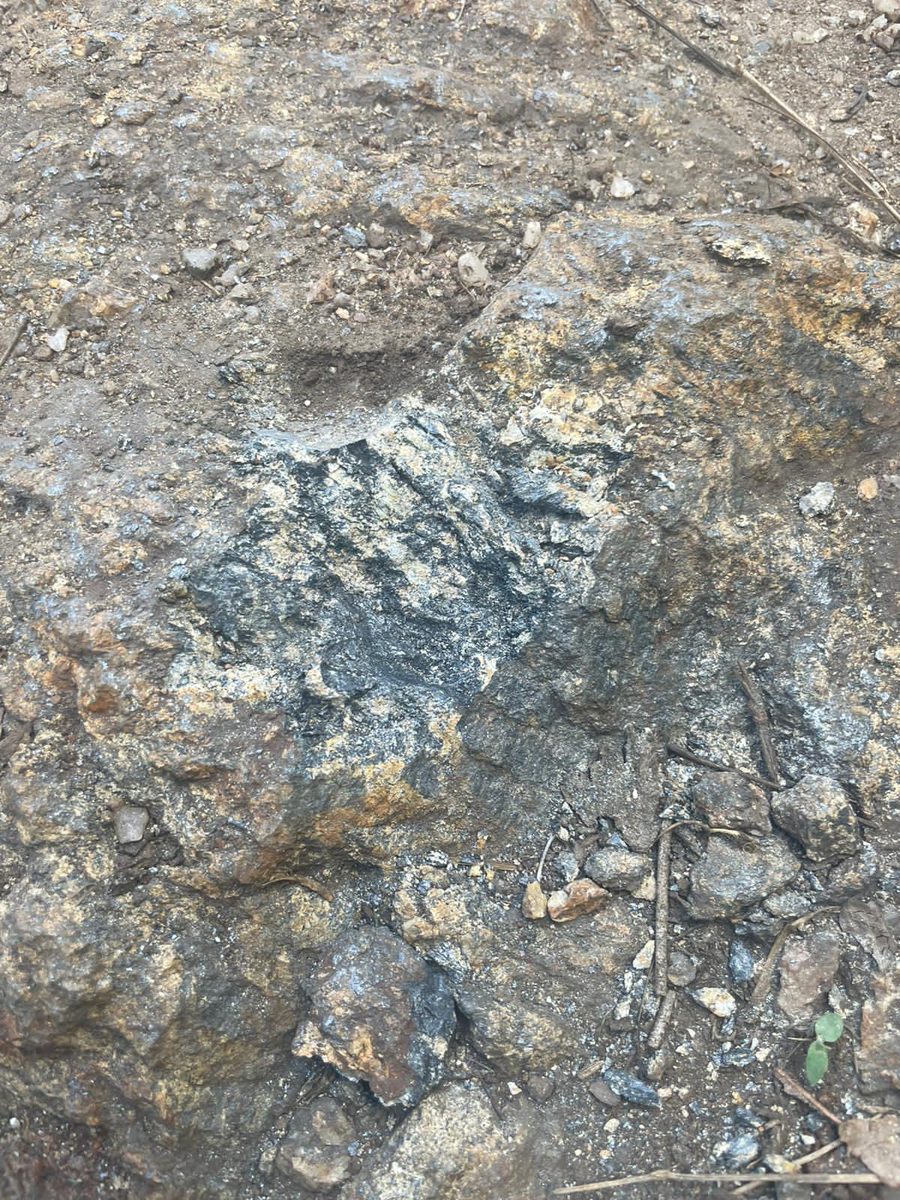 Bagamoyo Graphite Project